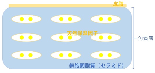 3大保湿因子