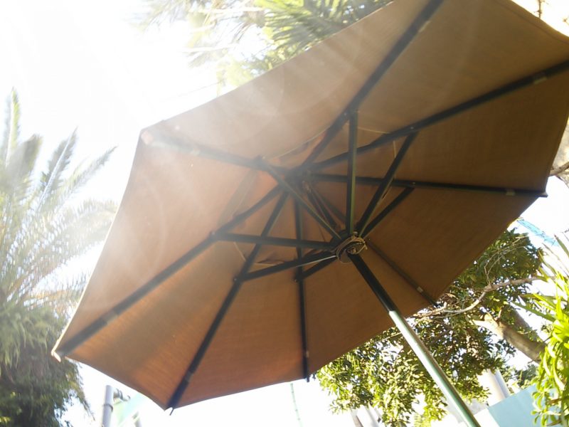 茶色の日傘