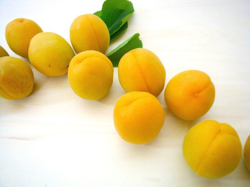 杏子の画像１