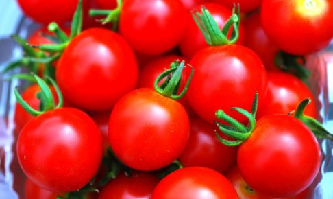 たくさん入っているミニトマト