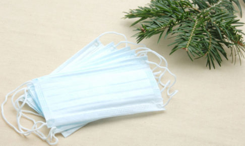 杉の葉が添えられている青いマスク