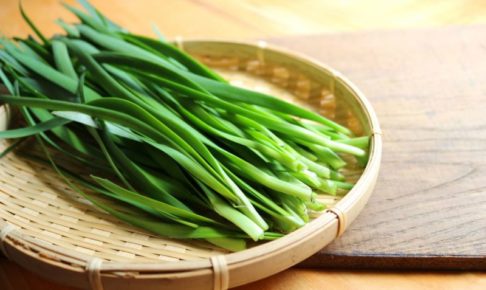 青々としたニラ