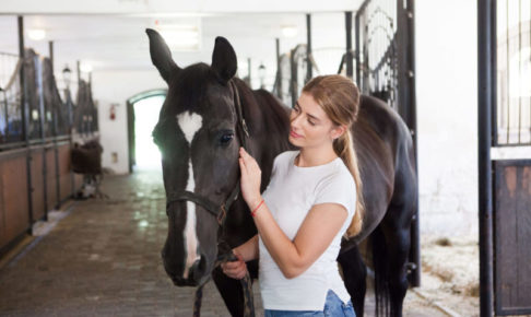 しっかりとした目の馬を女の子がかわいがっている写真