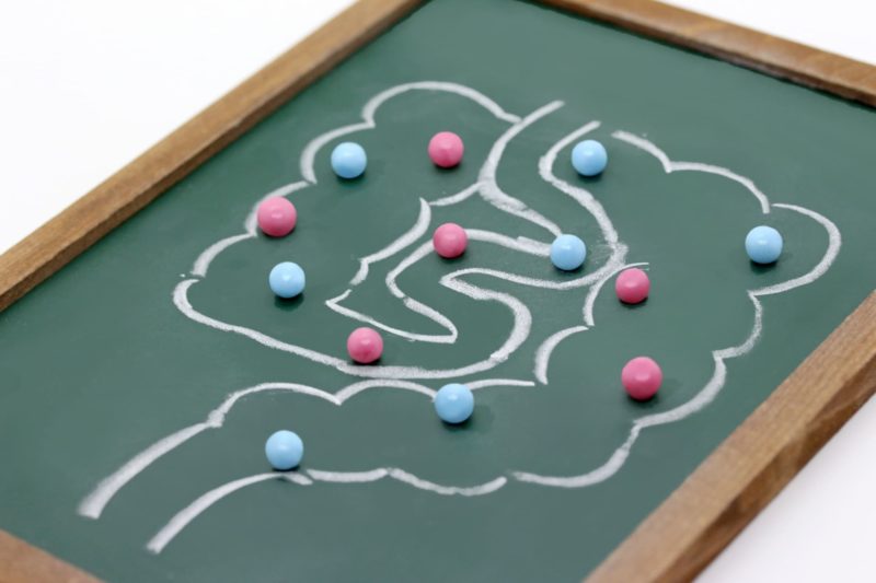 チョークで書かれた腸内図