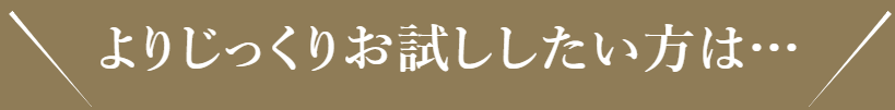 試し