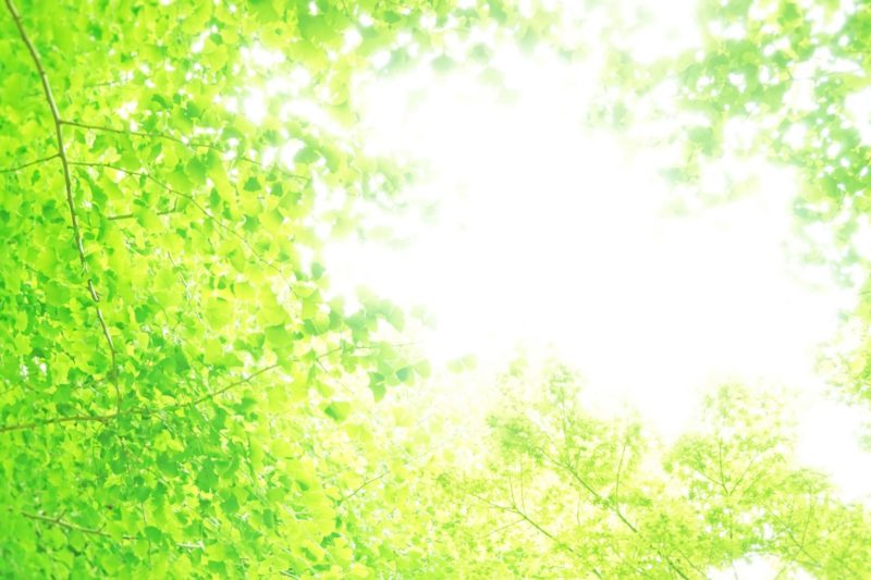 リラックスできる風景