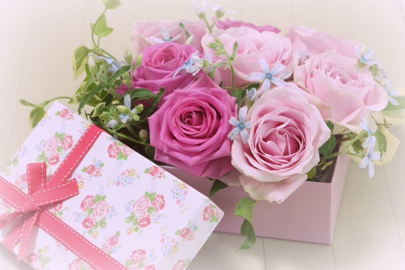 ドラッグストアで買えるセラミド化粧品 バラの花