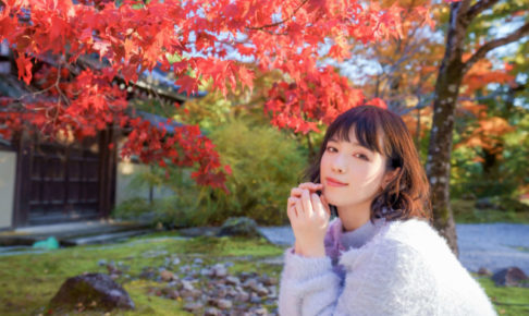 セラミドコスメおすすめ集 表紙