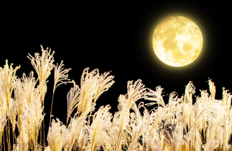 乾燥肌とはどのような状態。予防等編 秋