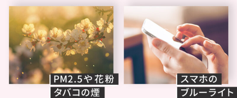要因