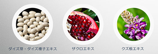悩みに効果がある厳選した成分