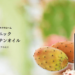 サボテンオイルのアイキャッチ