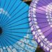 和の日傘